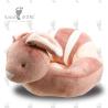 Buy cheap Comfortable Safe Infant Sit Up Stuffed Bunny Shaped Chair 53cm from wholesalers