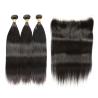Buy cheap Straight 100% Brazilian Virgin Hair One Donor No Chemical Processed from wholesalers