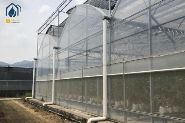 Buy cheap Vegetables Multi Span Agricultural Greenhouse Plant Plastic Film Greenhouse from wholesalers