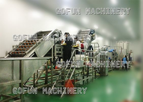 SS306 Complete Tomato Production Line 500kw Paste Concentration
