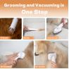 Buy cheap Customizable 300W Pet Grooming Vacuum Tool for Hair Shedding Trimmer Comb Accessories from wholesalers