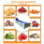 380V Vegetable Washing Line Green Pepper Chili Cleaning Machine