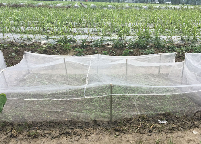 FDA 115 160 190 Micron Nylon Mesh Roll For Food Filtering