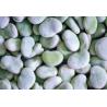Buy cheap High Grade IQF Frozen Vegetables , Whole / Split Flash Frozen Peeled Broad Beans from wholesalers