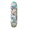 Buy cheap Element Skateboards Cabourn Camo Quadrant Complete Skateboard - 7.75" x 31.25" from wholesalers