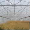 Buy cheap Hydroponic Poly Film Multi Span Greenhouse from wholesalers