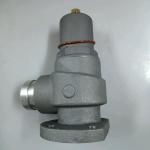 Manufacturing Plant Minimum Pressure Valve for Compair Air Compressor Spare