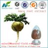 Buy cheap Top quality maca extract with factory price from wholesalers