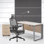 Height Adjustable Mesh Office Executive Chair 2D Armrest Ergonomic Cadeira de