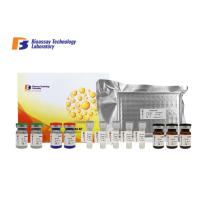 Buy cheap Customized Canine ELISA Kits 96 Well Plate Cystatin C ELISA Assay Kit With High product