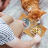 Buy cheap Collapsible Wooden Raised Dog Feeder Anti Skid At Home from wholesalers