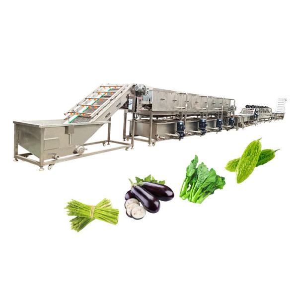 Buy cheap Customized SUS 304 Material Bubble Cleaning Drying Machine for Fruits and Vegetables from wholesalers