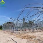 Agricultural Seeding Light Deprivation Blackout Single-span Film Greenhouse Tent