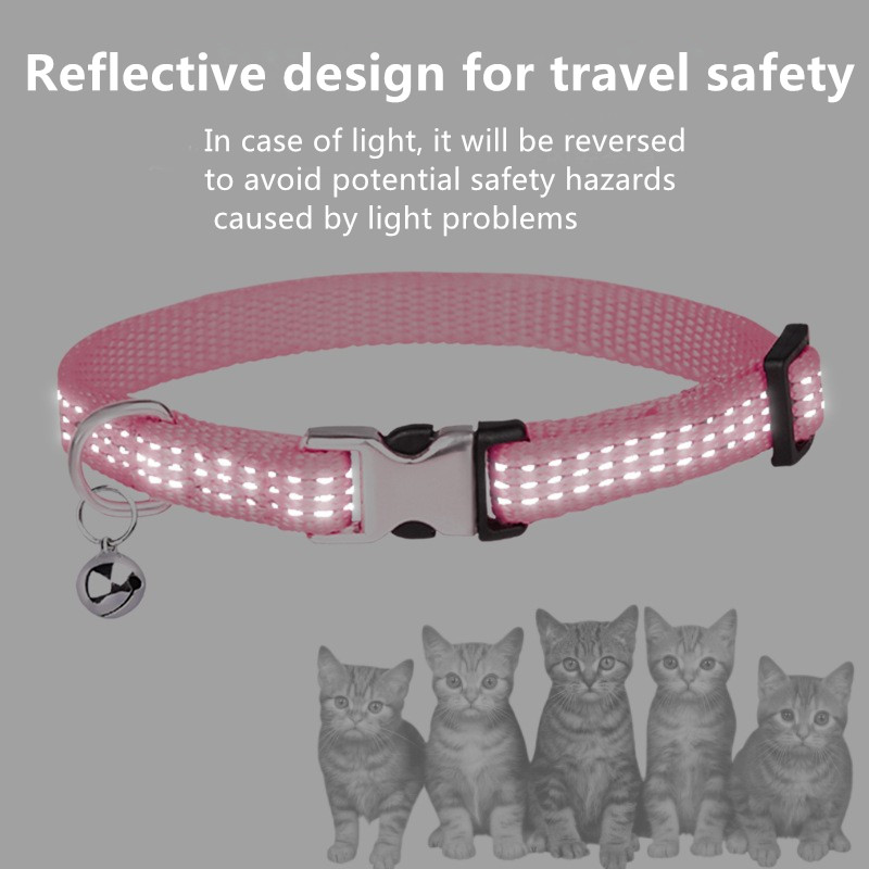 slip collar for dogs