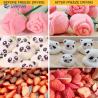 Buy cheap Commercial Food Freeze Dryer Pet Treat Yogurt Meat Freeze Dry Machine For Home from wholesalers
