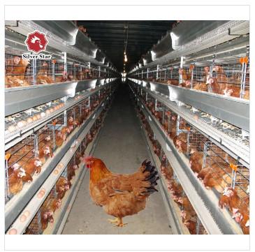 Buy cheap 9 Tiers Q235 Battery Egg Layer Cages Poultry Field Chicken Breeding Cage from wholesalers