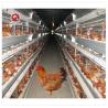 Buy cheap Hot Galvanized Best Sell Automatic System Broiler Chicken Cage H Type Battery Broiler Chicken Cage from wholesalers