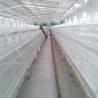 Buy cheap Less Respiratory Diseases Broiler Chicken Cage Labor / Space Saving Silver Color from wholesalers
