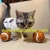 Buy cheap pet toys wholesale dog tennis ball from wholesalers