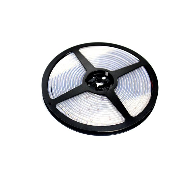 5700K Silicone Hollow Waterproof Rgb Led Strip 12v Ip68 Rope Light