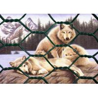 Buy cheap Low Carbon Steel 0.3mm Powder Coated Welded Wire Mesh 4mm Gabion Hex Wire product