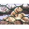 Buy cheap Low Carbon Steel 0.3mm Powder Coated Welded Wire Mesh 4mm Gabion Hex Wire Netting from wholesalers
