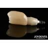 Buy cheap Shoulder Margin Design Dental Implant Bars For Wide Prosthetic Platform Needs from wholesalers