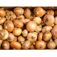 Buy cheap Brain Refreshing Natural Spicy Yellow Spring Onions product