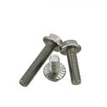 Titanium Hex Flange Bolt Length 3mm-500mm M3-M64 for Oil and Gas Industry