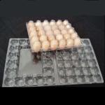 15packs Disposable PET Clear Plastic Egg Tray 71mm Square Egg Tray Holder
