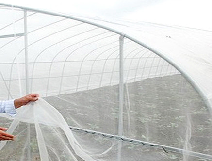 40 Mesh 100% HDPE Insect Mesh Netting Non Toxic For Disease Prevention