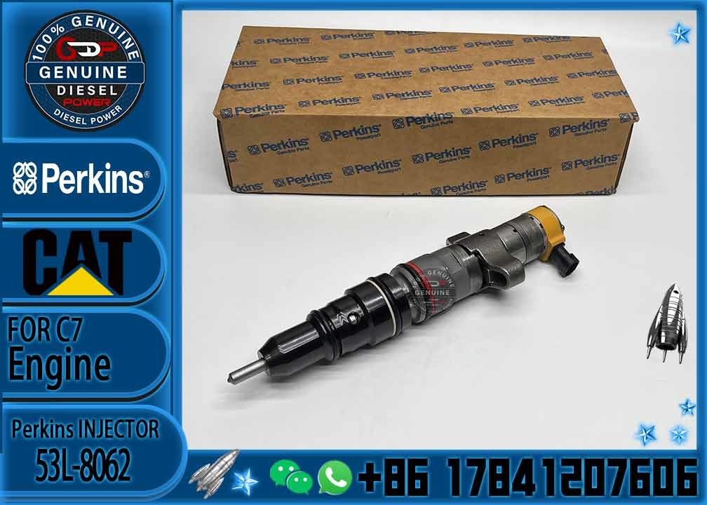 Common rail injector fuel injector 53L-8062 553-2592 387-9437 557-7633 for C7 C9 Excavator 330D 336D