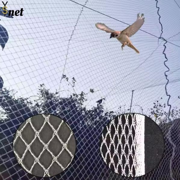 Buy cheap Agricultural Bird Prevention Netting 5m - 1000m Knitted Bird Netting from wholesalers