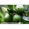 Buy cheap Hesperetin 98%,95% HPLC Light yellow needle crystal pure herbal ingredients from wholesalers