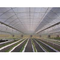 Buy cheap Water Saving Commercial Hydroponic Greenhouse Easy Manage Without Regional product