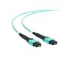 Buy cheap 12 Strand MPO MTP Cable Customized Length 33 Foot Male / Female Connector Type from wholesalers