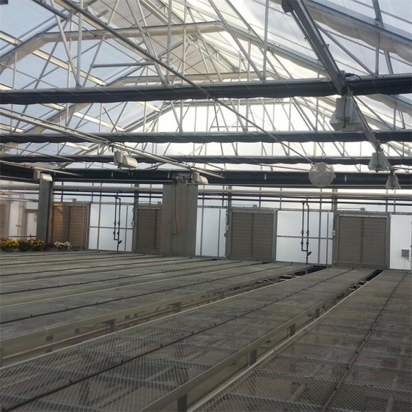 Buy cheap 100% Blackout Auto Light Dep Greenhouse With Blackout System Height 5M from wholesalers
