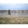 Buy cheap Residential Wire 10ft Steel Chain Link Fencing Galvanized from wholesalers