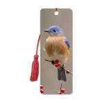 CMYK 15.6X5.3cm Birds 3D Lenticular Bookmark With Tassels