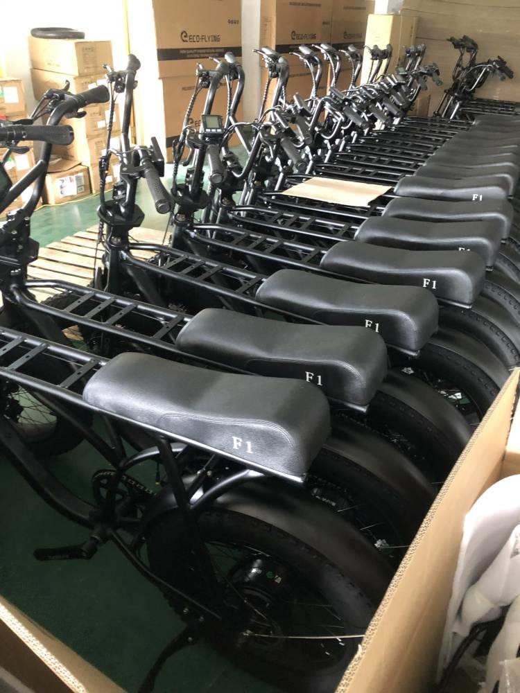 36v 20 Inch Fat Tire Ebike 350w Electric Bicycle 20 Inch Wheel 10ah Bafang 8fun Brushless