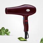 Multifunctional AC 2600 Watt Blow Dryer , 50Hz Portable Travel Hair Dryer
