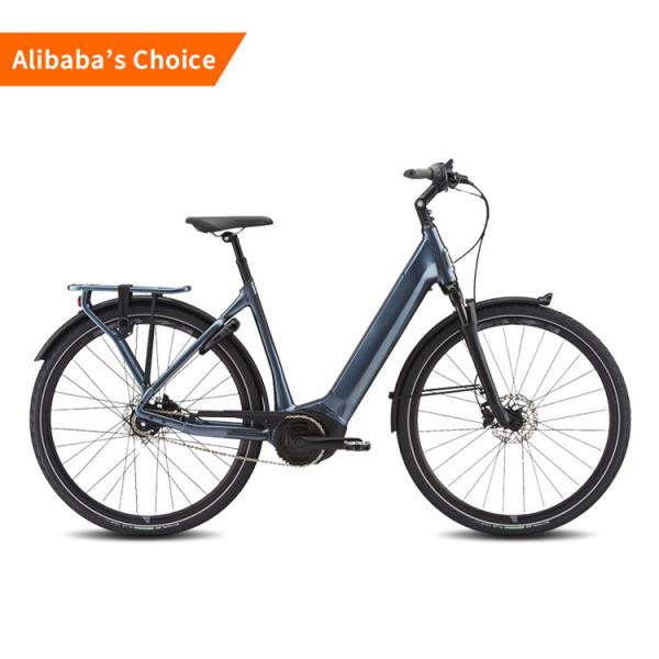 Buy cheap 25km/H Long Range Electric City Road Bike 750w High Power Two Wheel from wholesalers