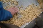 250kg / Hr Cereal Corn Flakes Manufacturing Machine / Cereal Snack Machine