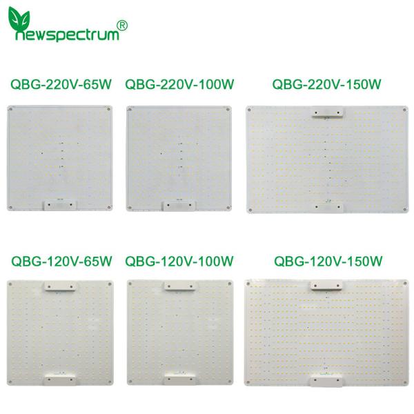 Buy cheap 100W Horticulture SMD Chip Voltage 240v Led Grow Light Board from wholesalers