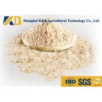 Buy cheap No Agglomeration Or Mildew Brown Rice Powder For Pet Feeding Addictive product