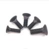 Buy cheap PED Countersunk Carriage Bolts JIS M5 Countersunk Bolt 100mm from wholesalers