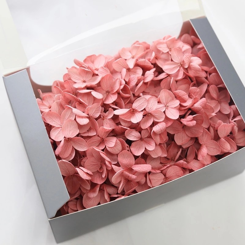 Home decoration soft touch natural preserved hydrangea