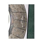 24 Teeth Genuine Clutch Cover Plate for Eaton 128254c39a Volvo Heavy Duty Car