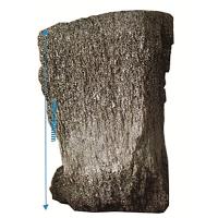 Buy cheap C SiC Black Silicon Carbide Industrial Abrasives OHSAS18001 Approval product