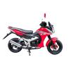Buy cheap 5l 125cc CUB Motorcycle 8000rpm Lifan Motorcycle Petrol Dirt Bike Air Cooled from wholesalers